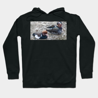 cli chinese ducks Hoodie